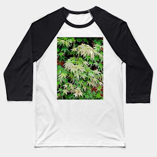 Green leaves with red edge Baseball T-Shirt